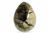 Septarian Dragon Egg Geode - Sparkly Black Crystals #364458-2